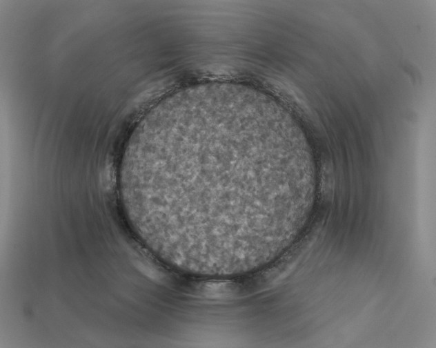 X0000112430173200909111037