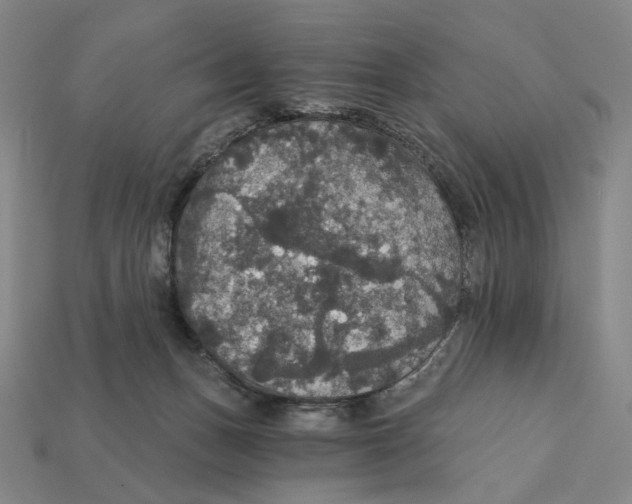 X0000112430175200909111037