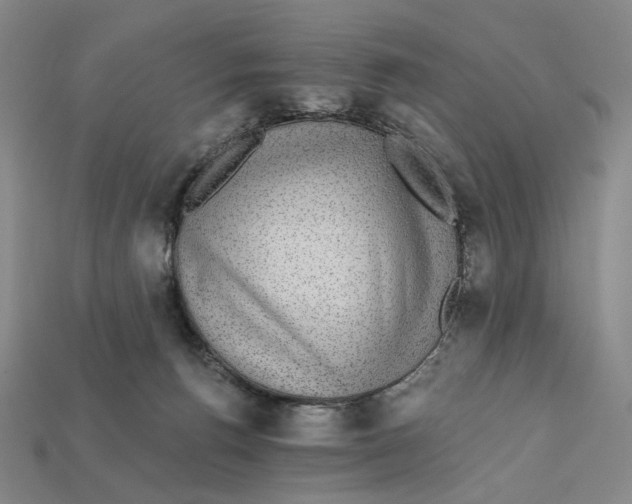 X0000112430176200909111037