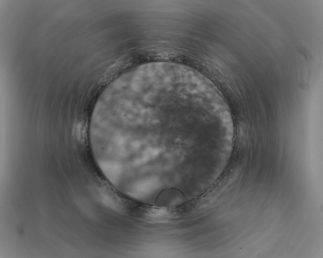 X0000112430177200909111037