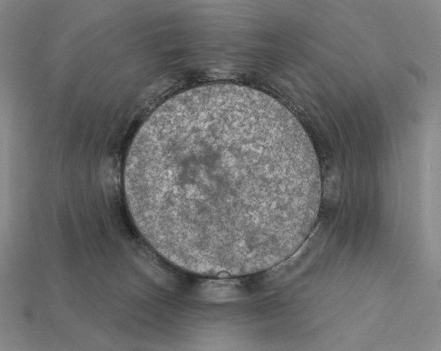 X0000112430179200909111037