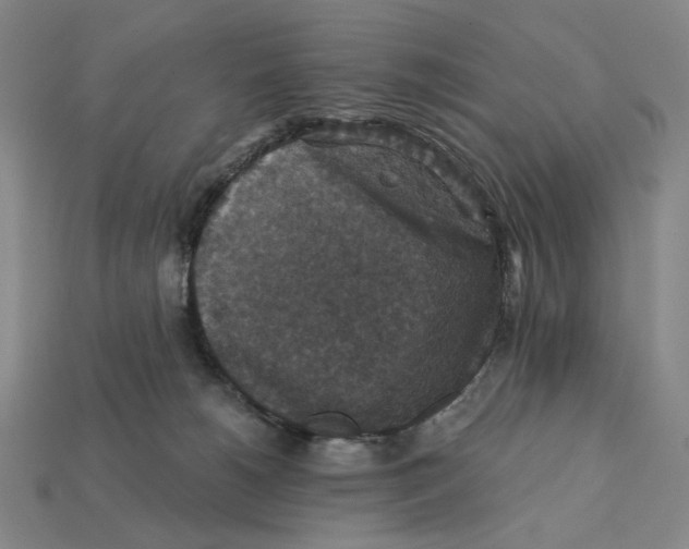 X0000112430180200909111037