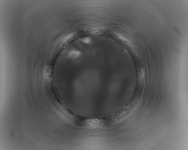 X0000112430181200909111037