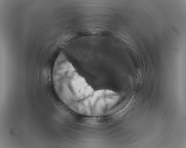 X0000112430182200909111037