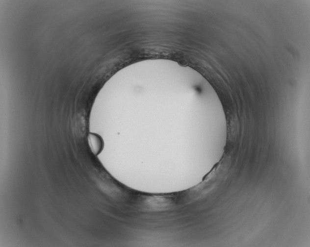 X0000112430183200909111037