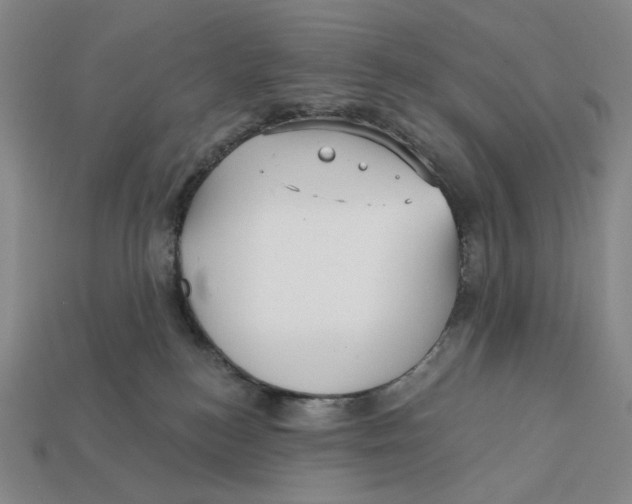 X0000112430184200909111037