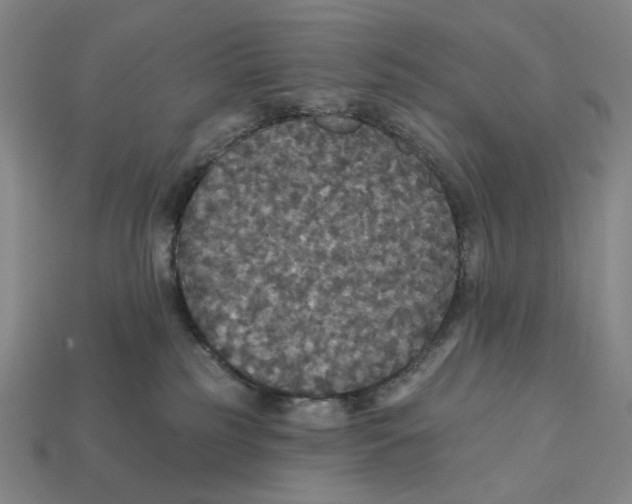 X0000112430185200909111037