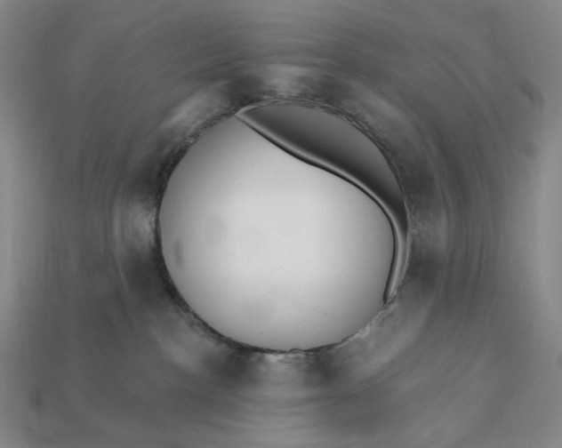 X0000112430188200909111037