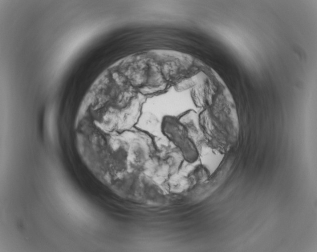 X0000112430189200909111037