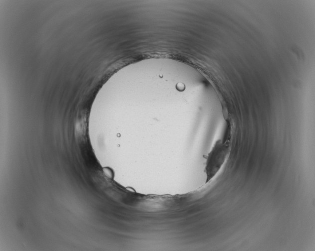 X0000112430190200909111037
