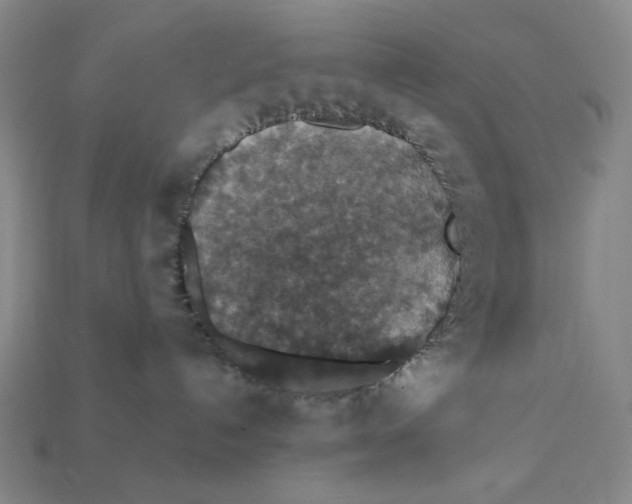 X0000112430192200909111037