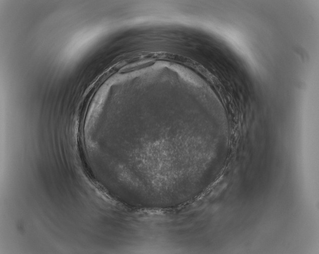 X0000112430194200909111037