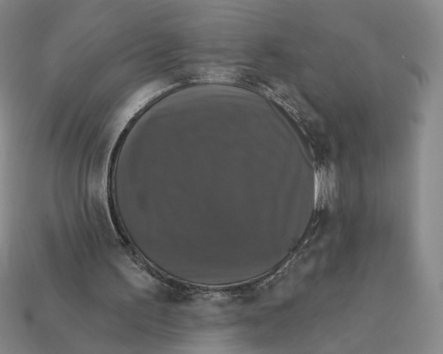 X0000112430195200909111037