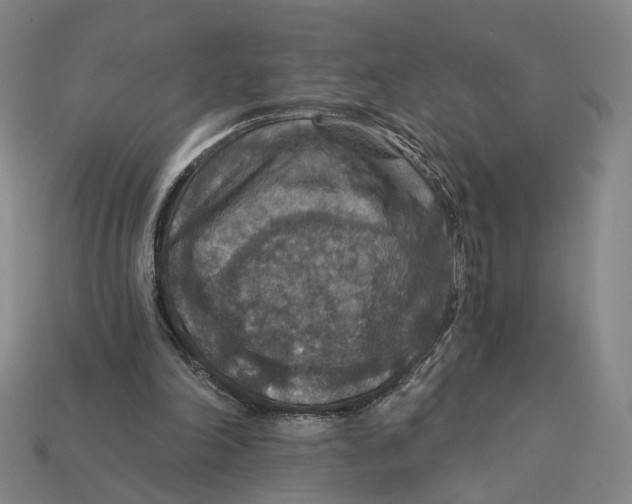 X0000112430198200909111037