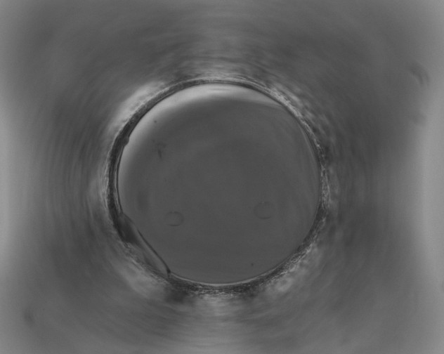 X0000112430199200909111037