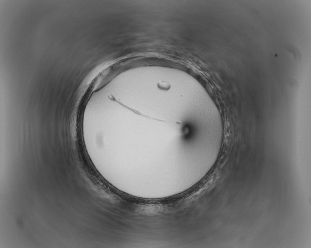 X0000112430200200909111037