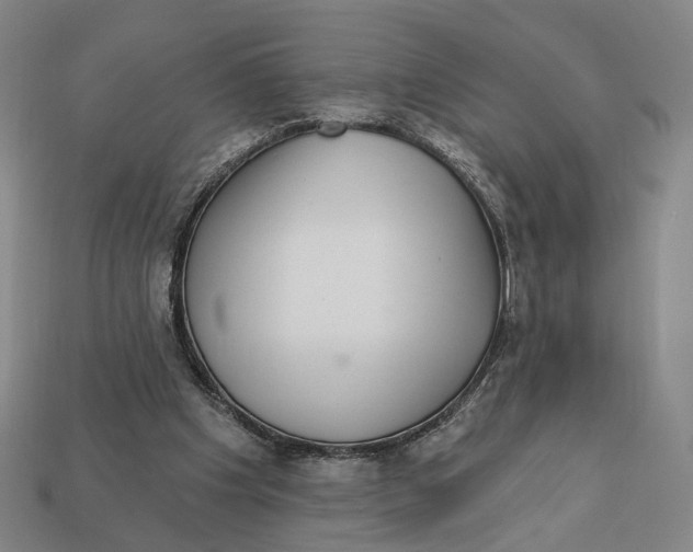 X0000112430201200909111037
