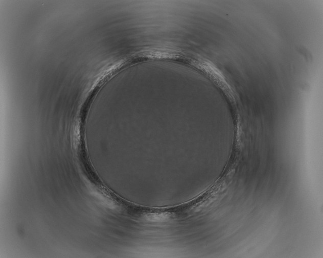 X0000112430202200909111037