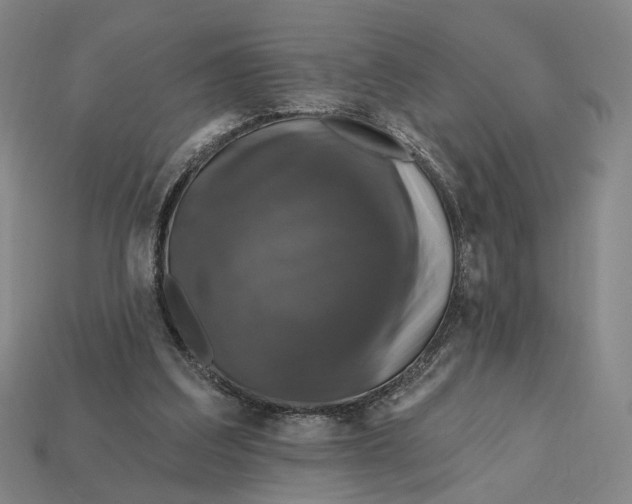 X0000112430203200909111037