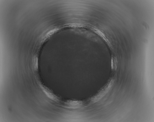 X0000112430205200909111037
