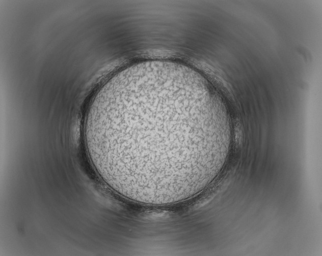 X0000112430206200909111037