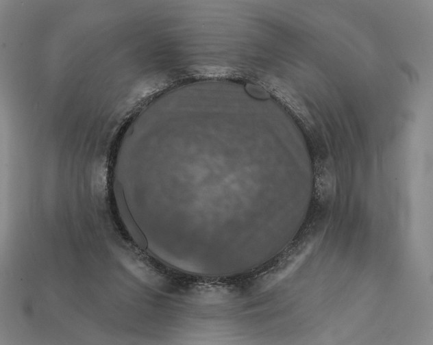 X0000112430207200909111037