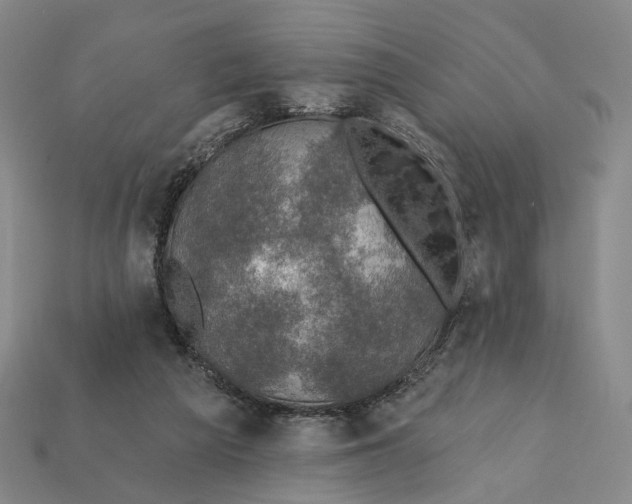 X0000112430209200909111036