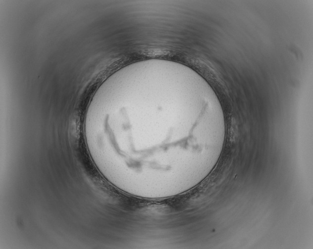 X0000112430210200909111036