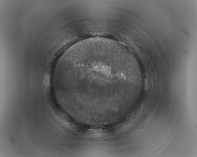 X0000112430211200909111036