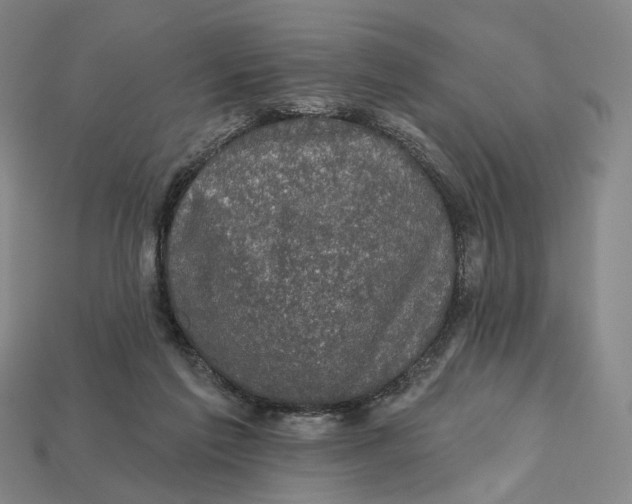 X0000112430213200909111036