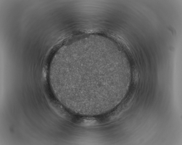X0000112430214200909111036
