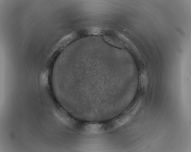 X0000112430217200909111036
