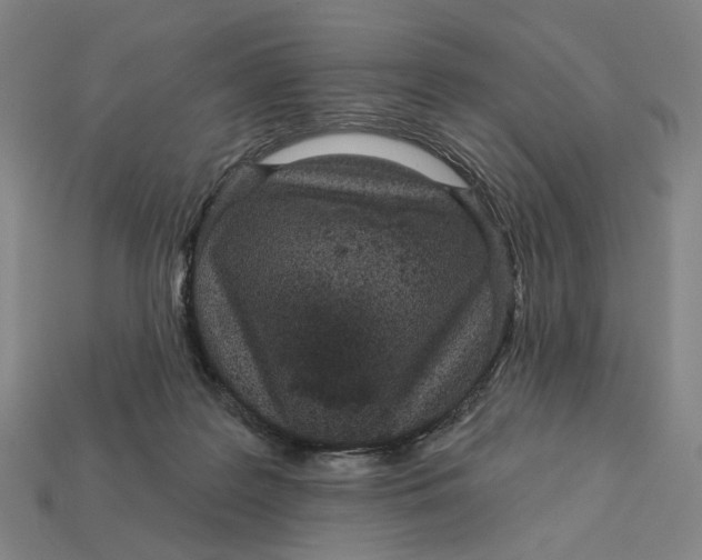 X0000112430219200909111036