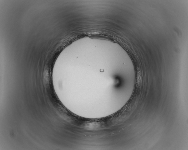 X0000112430220200909111036