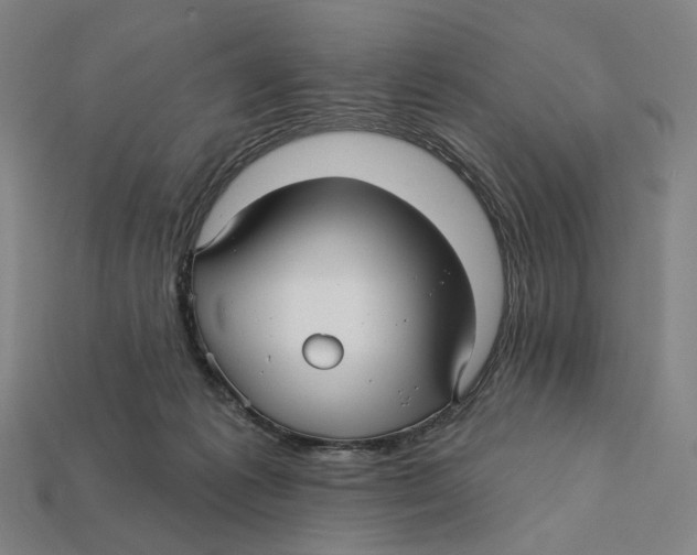 X0000112430221200909111036
