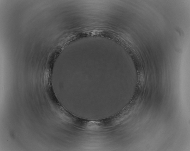 X0000112430222200909111036