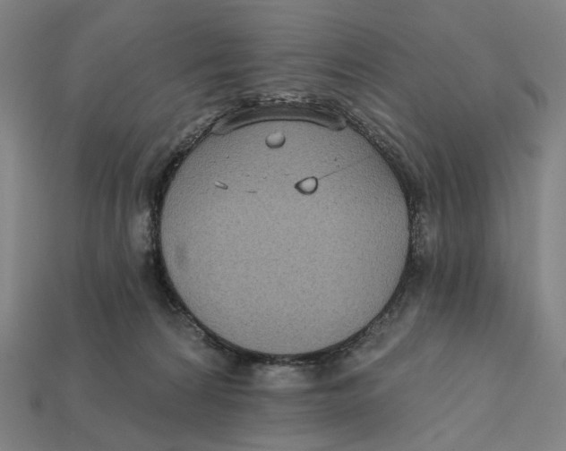 X0000112430224200909111036
