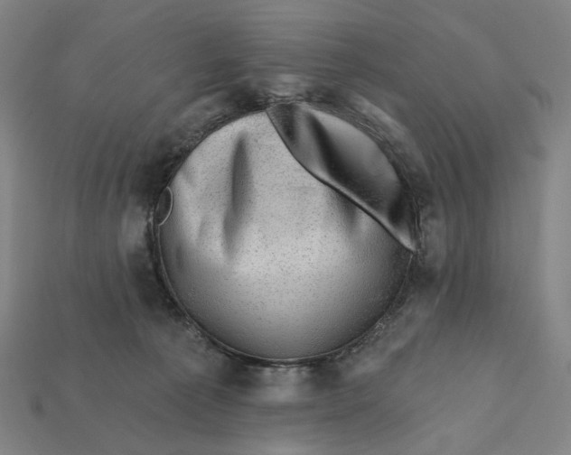X0000112430225200909111036