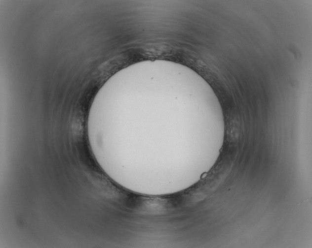 X0000112430226200909111036