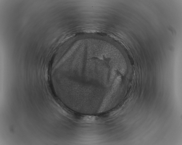 X0000112430227200909111036