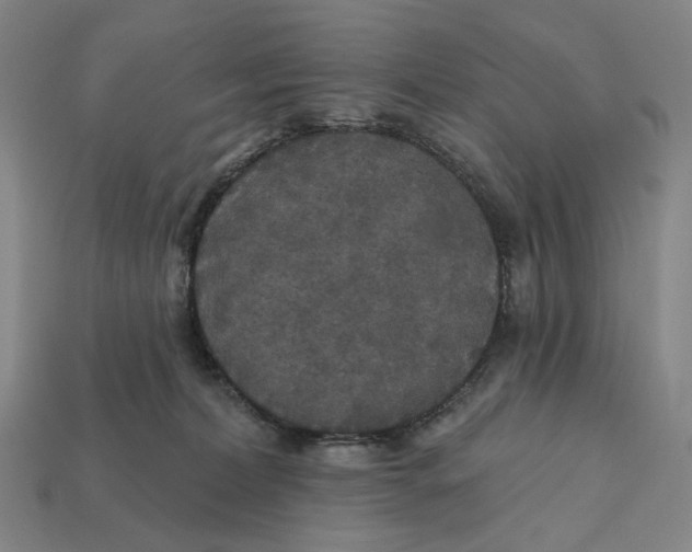 X0000112430228200909111036