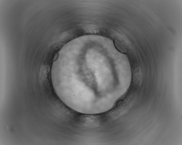 X0000112430229200909111036