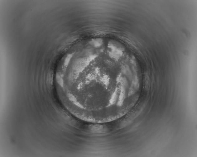 X0000112430230200909111036
