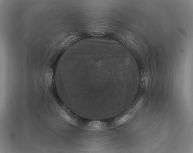 X0000112430231200909111036