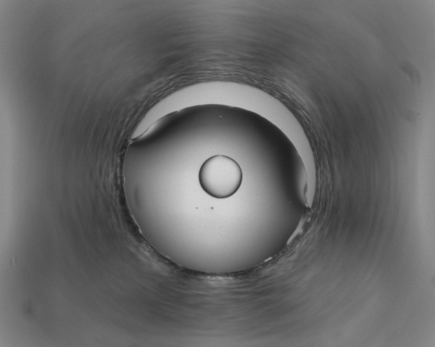 X0000112430233200909111036
