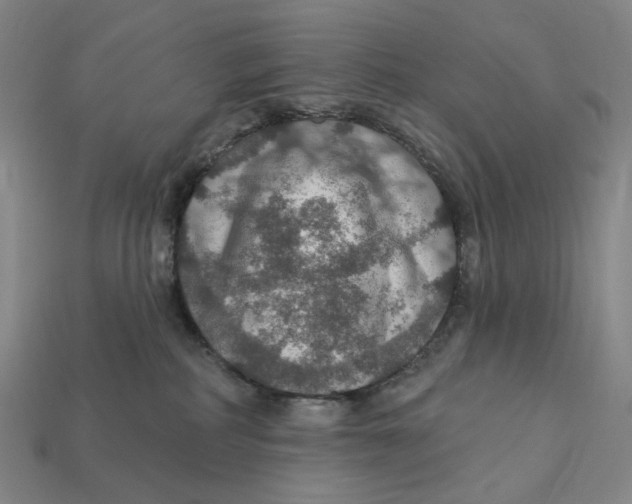 X0000112430234200909111036