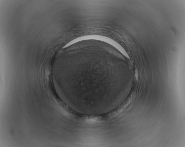 X0000112430235200909111036