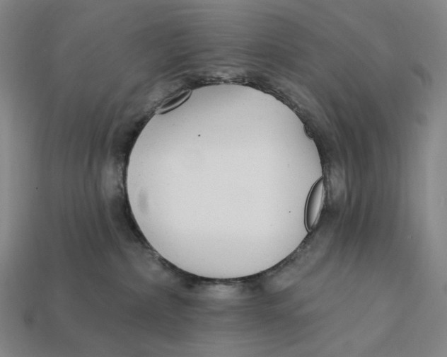 X0000112430236200909111036
