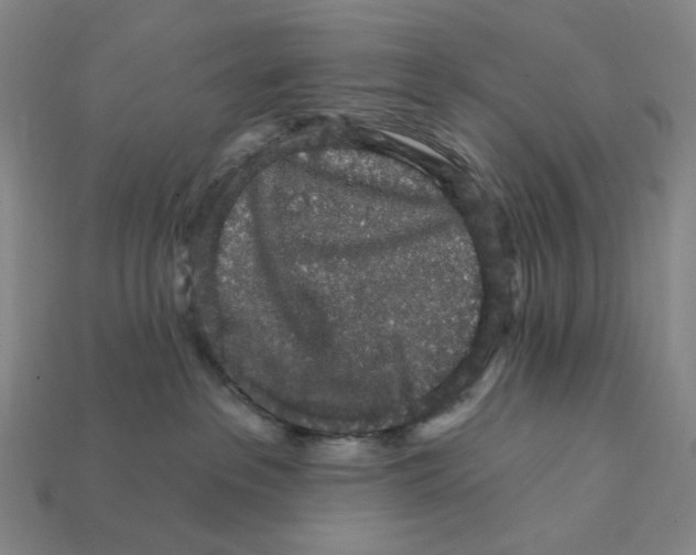 X0000112430237200909111036