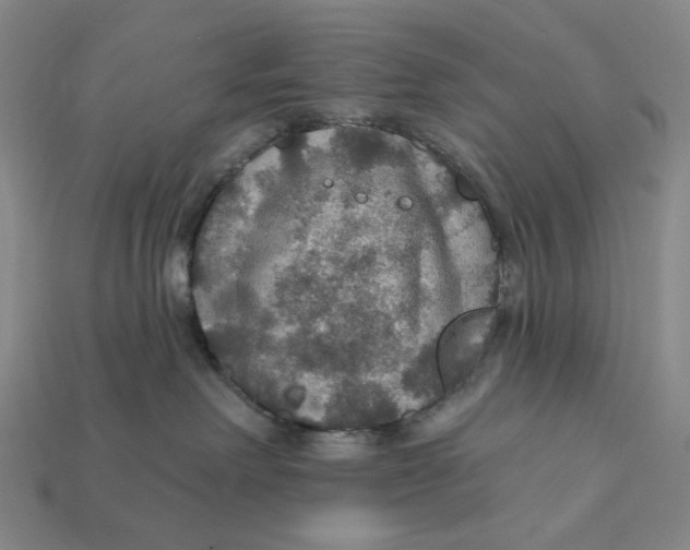 X0000112430238200909111036